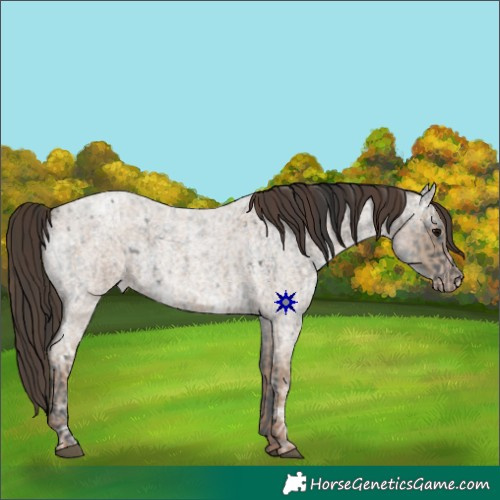 Horse Color:Blue Ice Roan  and Classic Champagne Ice Roan 