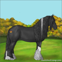 Horse Color:Black Tobiano