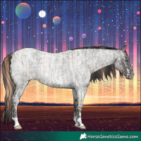Horse Color:Smoky Creme Ice Roan and Smoky Blue Ice Roan