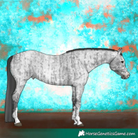 Horse Color:Blue Ice Roan  and Gray Blue Ice Roan 