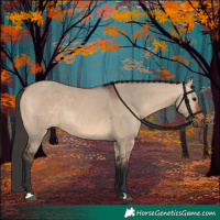 Horse Color:Bay Dun