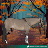 Horse Color:Brown Dun Tobiano 