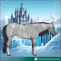 Horse Color:Blue Ice Roan and Blue Ice Roan