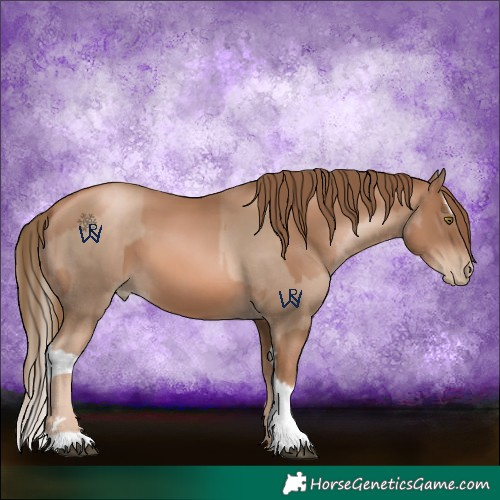 Horse Color:Liver Chestnut Pearl  and Liver Chestnut Pearl Splash 