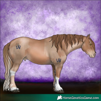 Horse Color:Liver Chestnut Pearl and Liver Chestnut Pearl Splash