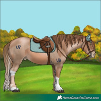 Horse Color:Liver Chestnut Pearl  and Liver Chestnut Pearl Splash 