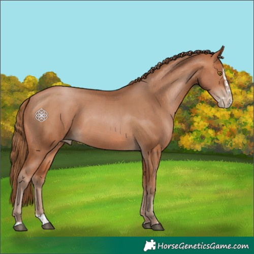 Horse Color:Bay Pearl  and Bay Pearl Splash 