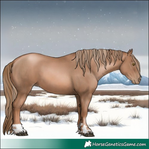 Horse Color:Liver Chestnut Pearl  and Liver Chestnut Pearl 