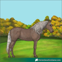 Horse Color:Silver Black 