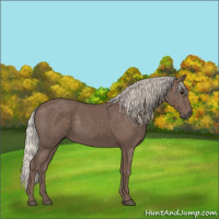 Horse Color:Silver Black 