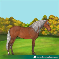Horse Color:Silver Bay 