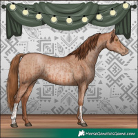 Horse Color:Brown Pearl and Brown Pearl Rabicano