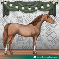 Horse Color:Brown Pearl  and Brown Pearl Rabicano 