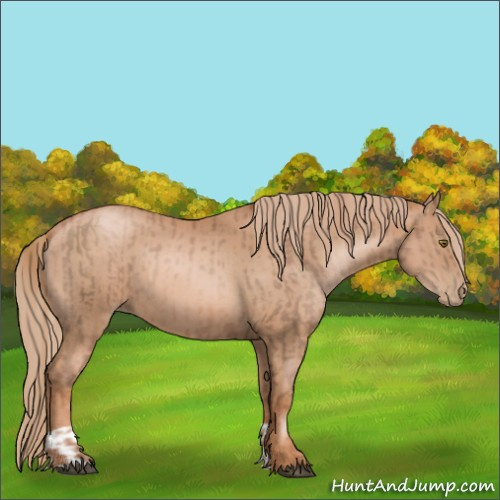 Horse Color:Liver Chestnut Pearl  and Chestnut Pearl 