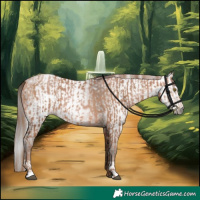 Horse Color:Bay Pearl  and Gray Bay Pearl 