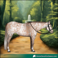 Horse Color:Bay Pearl  and Gray Bay Pearl 