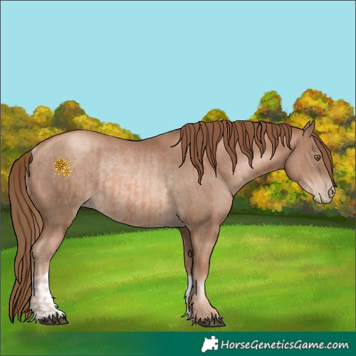 Horse Color:Liver Chestnut Pearl  and Liver Chestnut Pearl Rabicano 