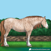 Horse Color:Brown Pearl  and Sable Champagne Pearl 