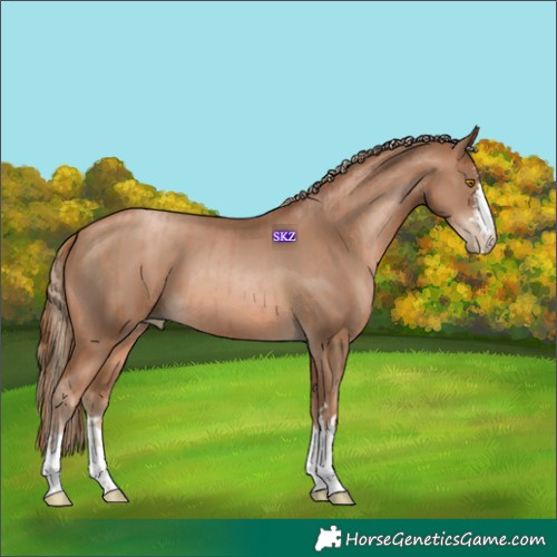 Horse Color:Brown Pearl  and Liver Chestnut Pearl 