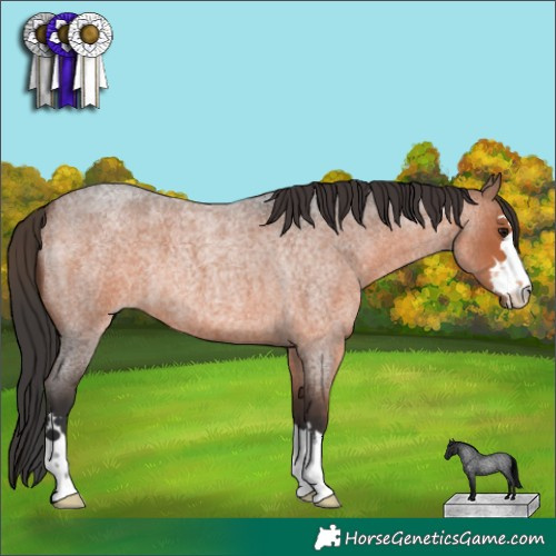 Horse Color:Brown Roan 
