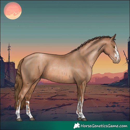 Horse Color:Liver Chestnut Pearl  and Liver Chestnut Pearl 