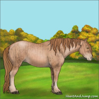 Horse Color:Liver Chestnut Pearl  and Chestnut Pearl 