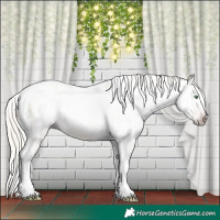 Horse Color:Gray Silver Amber Cream Champagne Roan Dun Splash Tobiano Frame Appaloosa Rabicano 
