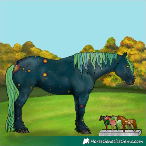 Horse Color:ERROR: UNKNOWN ANOMALY