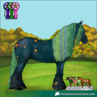 Horse Color:ERROR: UNKNOWN ANOMALY