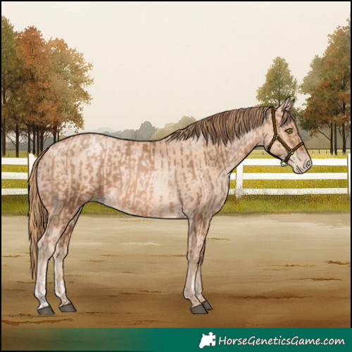 Horse Color:Liver Chestnut Pearl  and Gold Champagne Pearl 