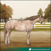 Horse Color:Liver Chestnut Pearl  and Gold Champagne Pearl 