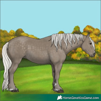 Horse Color:Silver Smoky Black 