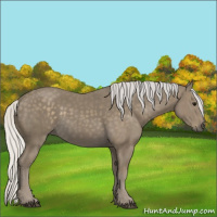 Horse Color:Silver Smoky Black 