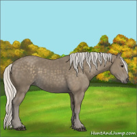 Horse Color:Silver Smoky Black 
