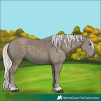 Horse Color:Silver Smoky Black 