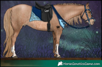 Horse Color:Liver Chestnut Pearl  and Liver Chestnut Pearl Rabicano 