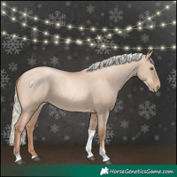 Horse Color:Red Dun Pearl Mushroom Tobiano