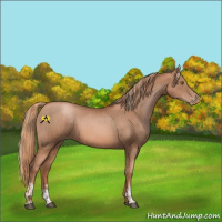 Horse Color:Liver Chestnut Pearl and Liver Chestnut Pearl