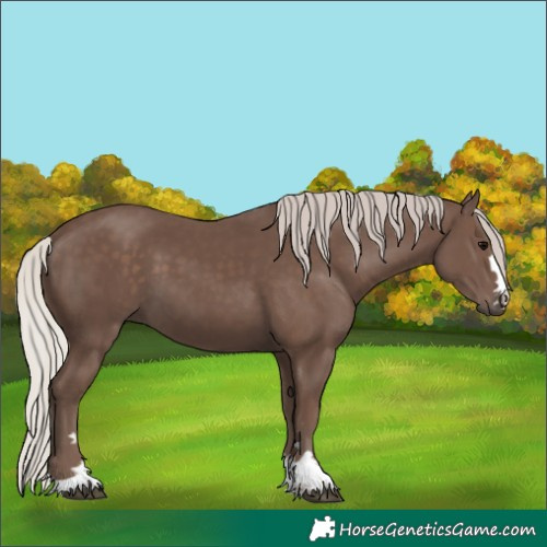 Horse Color:Silver Black 