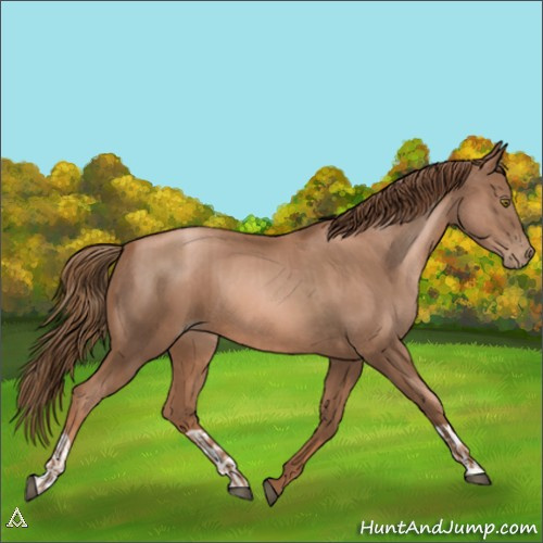Horse Color:Liver Chestnut Pearl  and Liver Chestnut Pearl 