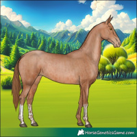 Horse Color:Brown Pearl  and Brown Pearl 