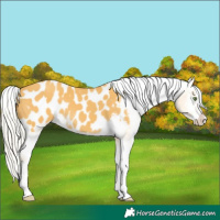 Horse Color:Silver Classic Cream Champagne Splash Blanket
