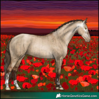 Horse Color:Gray Liver Red Dun Pearl  and Gray Liver Red Dun Pearl 