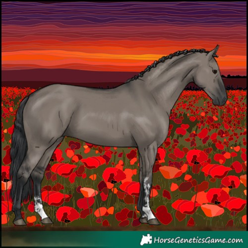 Horse Color:Grullo Sabino Rabicano 