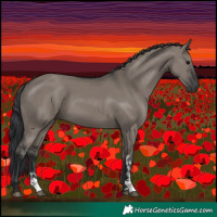 Horse Color:Grullo Sabino Rabicano 