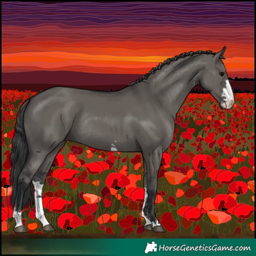Horse Color:Grullo Sabino Rabicano