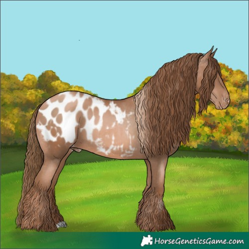 Horse Color:Liver Chestnut Pearl Blanket and Liver Chestnut Pearl Blanket