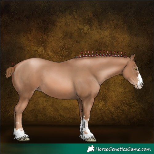 Horse Color:Liver Chestnut Pearl  and Liver Chestnut Pearl 