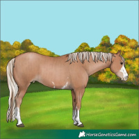 Horse Color:Black Pearl  and Silver Black Pearl 