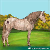 Horse Color:Liver Chestnut Pearl  and Gold Champagne Pearl 